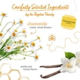 thumbnail image 3 of Bigelow Chamomile Vanilla and Honey, Caffeine Free, Herbal Tea Bags, 20 Count, 3 of 13