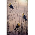thumbnail image 2 of Tift, Jeff 10x14 Gold Ornate Wood Framed with Double Matting Museum Art Print Titled - Yellow Headed B Birds, 2 of 4