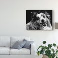 thumbnail image 3 of Trademark Fine Art 'Canine Scratchboard XXVI' Canvas Art by Julie T. Chapman, 3 of 4