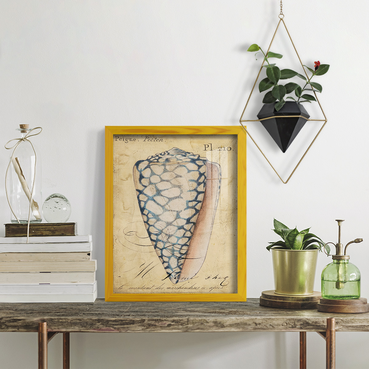 Seashell Ephemera IV - Framed Print w/glass - Sunflower Yellow