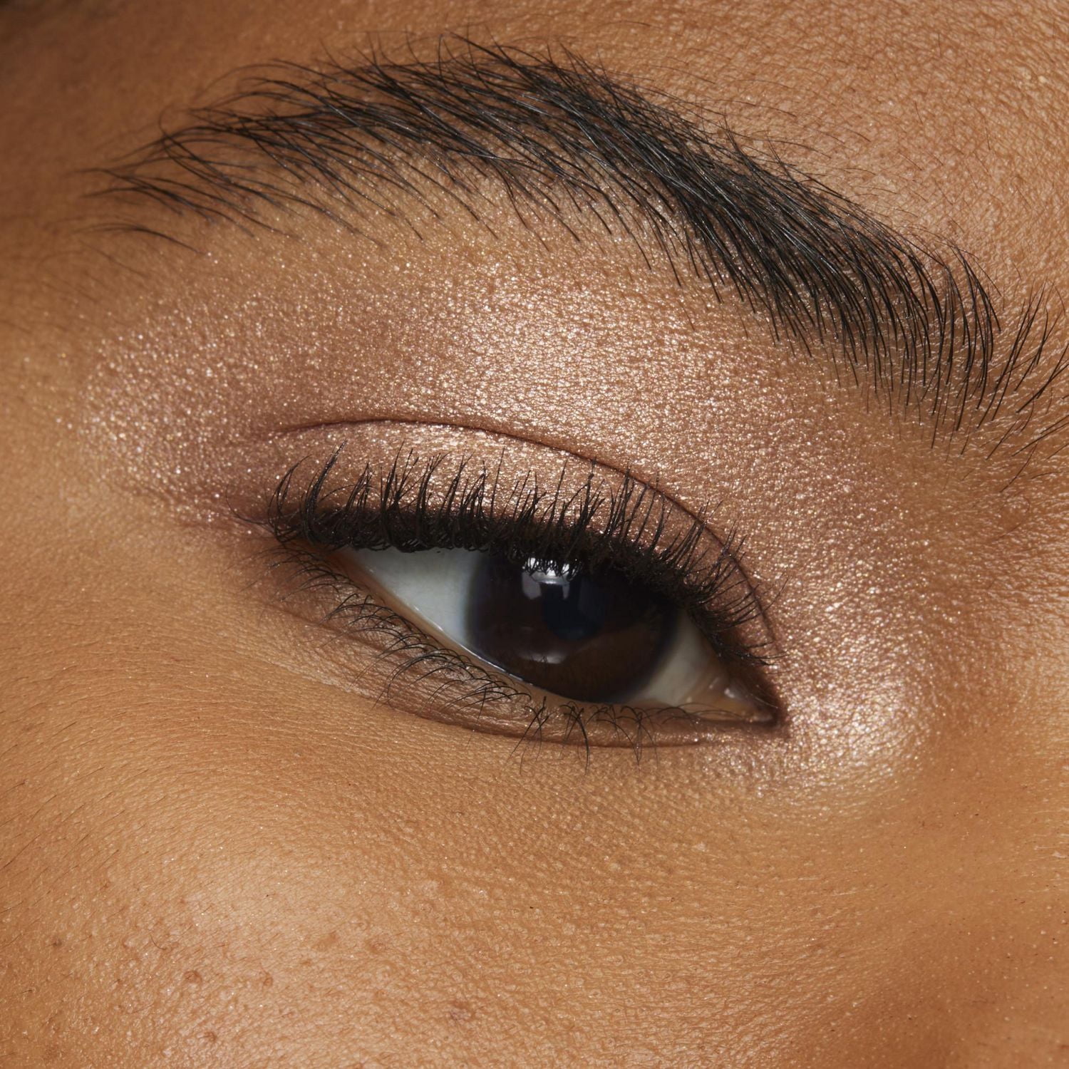 L'Oreal Paris Paradise Le Shadow Stick, Fard à Paupières, 1.4g Couleur riche et crémeuse