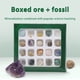 thumbnail image 4 of 20 tipos de tamaño mini, cristal natural, ágata, piedras, minerales, fósiles, materiales didácticos para niños para entusiastas de la geología, regalos de colección, 4 of 13