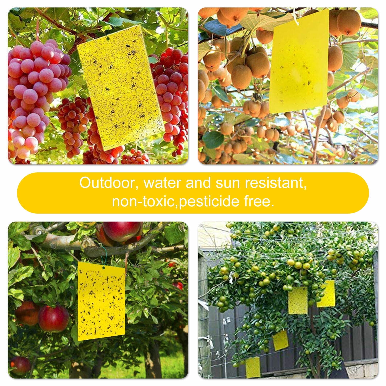 Venoro 60 PCS Sticky Fly Traps Gnat Trap Flies Insect Glue Catcher w/ Hanging Ropes