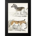 thumbnail image 2 of Cuvier, Georges 13x18 Black Modern Framed Museum Art Print Titled - Journal of Natural History V, 2 of 5