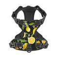 thumbnail image 4 of Bingfone Lemon Fruits Flowers Leaves No Pull Dog Vest Harness For Small Medium Large Dogs Strap For Puppy Walking,Training,Dog Harness-Large, 4 of 9