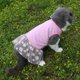 thumbnail image 5 of Chaleco de gasa con flores para perros y gatos, vestidos de princesa, para verano, 5 of 5