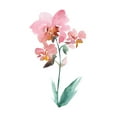 thumbnail image 2 of Mosley, Kiana 20x24 White Modern Wood Framed Museum Art Print Titled - Watercolor Garden V, 2 of 4