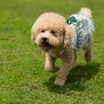 thumbnail image 6 of 2 Pieces Dog Dress Girl Bowknot Floral Dress Cute Rosette Dog Sundress Dog Princess Dresses for Small Pet Puppy Dogs and Cats (Flower Pattern,L), 6 of 9