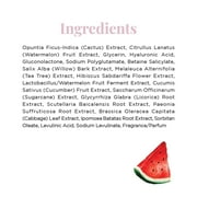 Glow Recipe Watermelon Glow PHA + BHA Toner - Gentle Face Exfoliating (150ml)