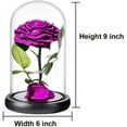 thumbnail image 6 of Preserved Roses Black Roses in Glass Dome, Medium, Real Rose That Last 2 to 3 Years, Black Roses Gifts for Her (7.5 inch), 6 of 12