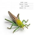 thumbnail image 1 of Children Insect Action Figure Simulation Spider Butterfly Grasshopper Model Ornament Toys For Home Decoration, 1 of 8