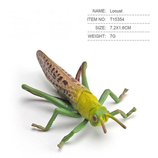 Children Insect Action Figure Simulation Spider Butterfly Grasshopper Model Ornament Toys For Home Decoration