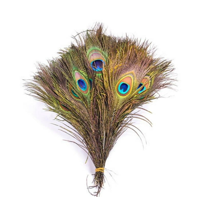 Dengmore Lots 10PCS Natural Real Peacock Tail Eye Feathers DIY  Crafts23-30cm/10-12Inches for Home Decor 