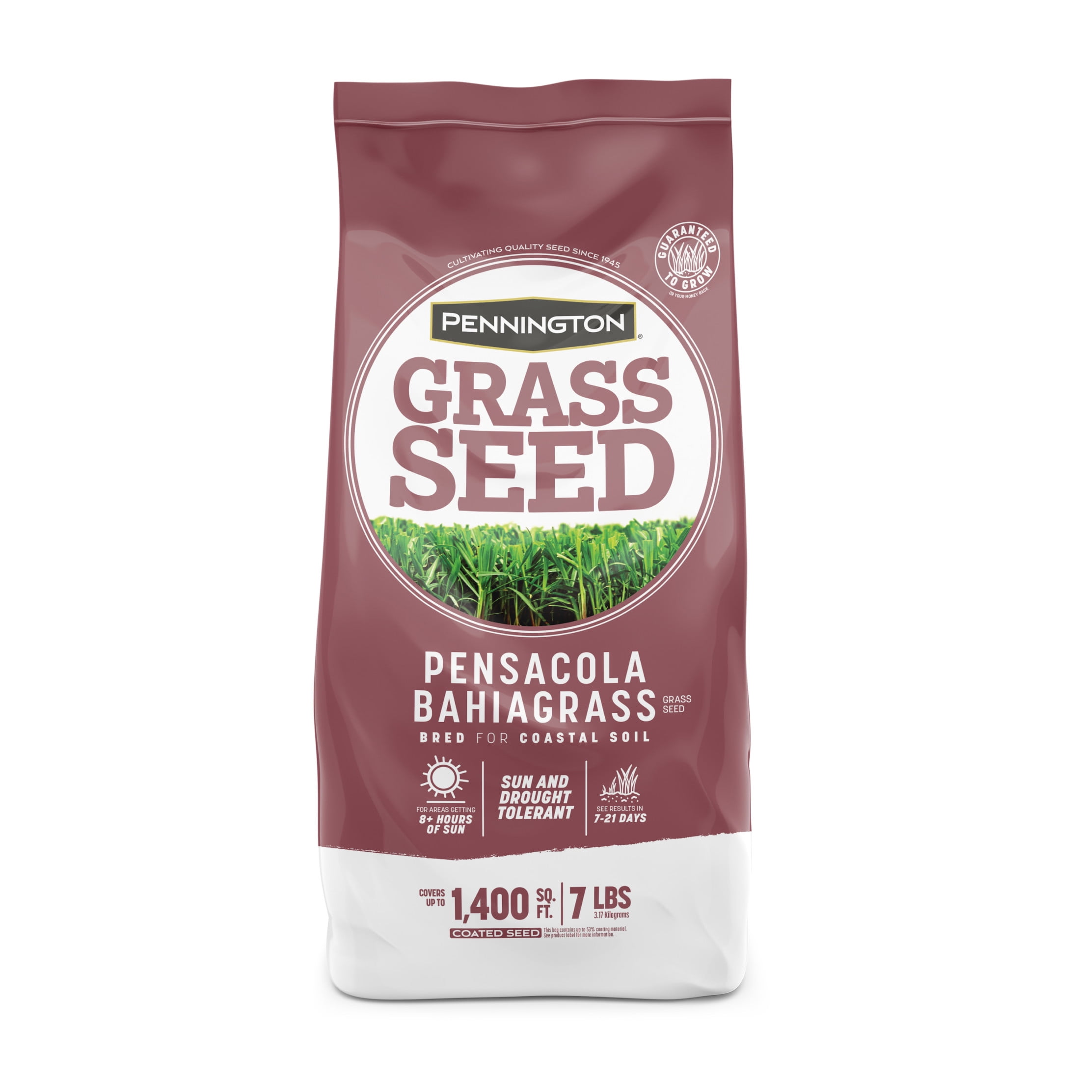 Pennington Pensacola Bahiagrass Grass Seed, Full Sun, 7 lb, 1 New Bag