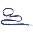 thumbnail image 1 of YIXIGGC Adjustable Running Training Dog Leash Elasticity Hand Freely Nylon Lead Rope (Blue+Red) XC921-25907, 1 of 7