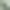 Pewter Green, variant on Bombay Home Hearth Uniform Multiple Area Rug or Runner