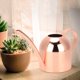 thumbnail image 3 of Regadera de acero inoxidable de 500 ml con acabado en oro rosa, ideal para plantas de interior y exterior, boca larga, 3 of 8