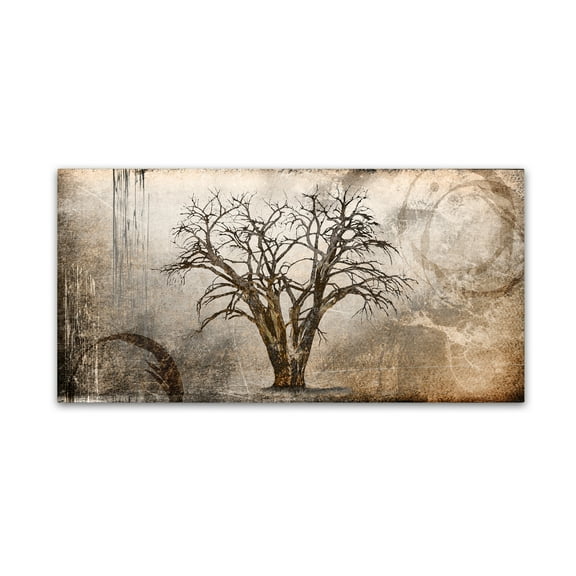 Trademark Fine Art 'Cottonwood Tree Part 07' Canvas Art by LightBoxJournal