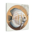 thumbnail image 2 of Discus in Magnificent Splendor - Canvas, 2 of 10