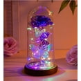 thumbnail image 1 of FTCBJJA Flor Rosa Preservada Qixi Galaxia Mariposa Flor Púrpura Gifts, Día de San Valentín, Regalo de Boda de Aniversario de Cumpleaños, 1 of 5