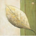 thumbnail image 2 of Salemink-Roos, Ursula 26x26 White Modern Wood Framed Museum Art Print Titled - Leaf Impression - Olive, 2 of 4