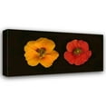 thumbnail image 1 of Vitaly Geyman 24x14 Gallery Wrapped Canvas Wall Art Titled - Nasturtiums Duet, 1 of 4