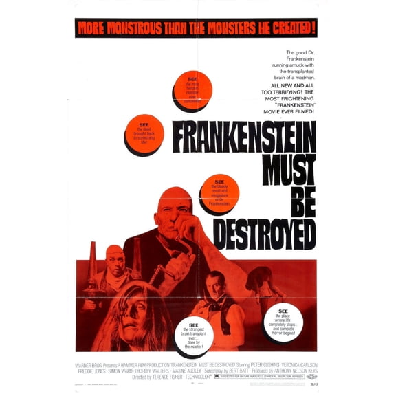 Frankenstein Must Be Destroyed Movie Poster 16in x 24in 16x24 Square Adults Western Graphic