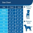 thumbnail image 2 of PetSafe Easy Walk Harness, No Pull Harness for Dogs, Adjustable Harness with Included Matching Lead, 2 of 6