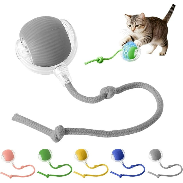 Jouet pour Chat, Balle Interactive avec Queue, Jouets à Roulettes Rechargeables USB, Mouvement 360° pour Chats et Chatons d'Intérieur, Jeu de Poursuite Intelligent, Gris