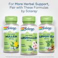 thumbnail image 6 of Solaray Marshmallow Root, Healthy Respiratory Function & Digestion Support, Non-GMO & Vegan | 100 VegCaps, 6 of 6