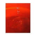 thumbnail image 2 of Gango Home Decor Red Drink Drop II by Tammy Putman (Printed on Paper); One 22x28in Fine Art Paper Giclee Print, 2 of 4