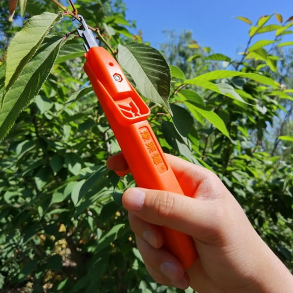 Tijeras de pimiento y recolección de pequeñas para , tijeras de de verduras, herramientas de dinería portátile CUTICAT Tijeras de pimienta