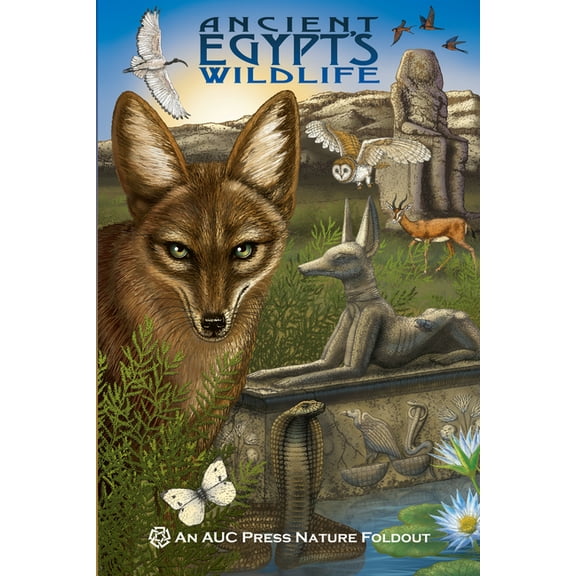AUC Press Nature Foldouts Ancient Egypt's Wildlife: An Auc Press Nature Foldout, (Paperback)
