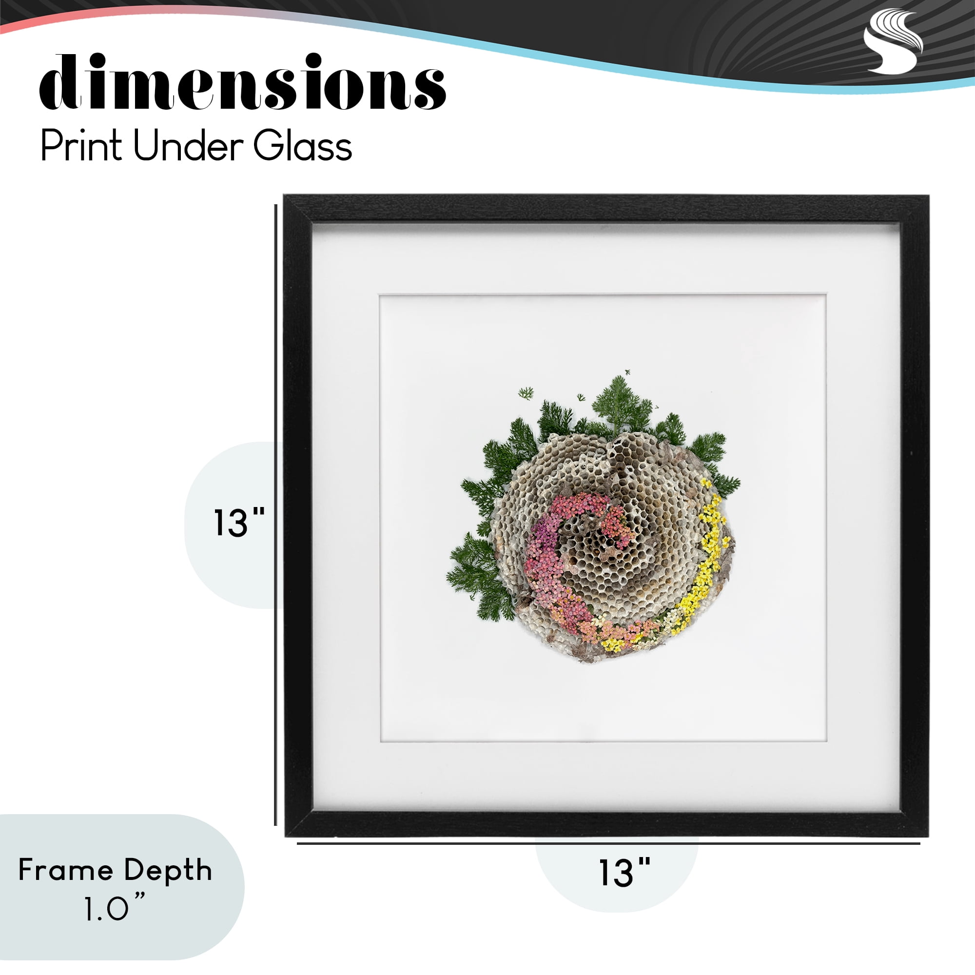 Stupell Industries Honeycomb with Botanicals Black Framed Print Under Glass, design by Beth Adoette