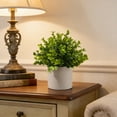thumbnail image 4 of Luxcidy Artificial Flowers Bonsai, Simulated Small Potted Plants, Faux Green Plants for Living Room Office Entrance, Wine Cabinet Decor, Artificial Topiary (C), 4 of 6