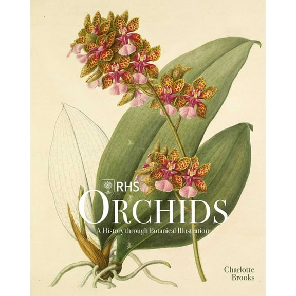 Rhs Orchids, (Hardcover)