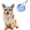 Dark Blue, variant on Minzimin Dog Bucket Hats, Dog Round Cap with Ear Hole, Adjustable Outdoor Travel Sun Protection Sport Hat for Cat Small Medium Dogs