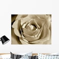 thumbnail image 1 of White Sepia Rose Wall Mural by Wallmonkeys Peel and Stick Graphic (36 in W x 27 in H) WM264865, 1 of 4