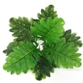 thumbnail image 2 of Cateissary Hojas de plantas artificiales para fiesta de boda, tela de seda, hoja falsa, decoración de plantas para el hogar SH Plantas Artificiales, 2 of 6