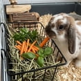 thumbnail image 6 of PONPRNGY 1Pc Hay Feeder, Bunny Hay Feeder Rack with Metal Frame for Guinea Pig Chinchilla, Heavy-Duty Hay Holder Feeders fors Guinea Pigs, Small Animal Cage Accessories, 6 of 6