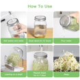 thumbnail image 4 of Kit de frascos para germinar semillas SBMKK con 2 frascos de boca ancha de 950 ml, 4 of 7