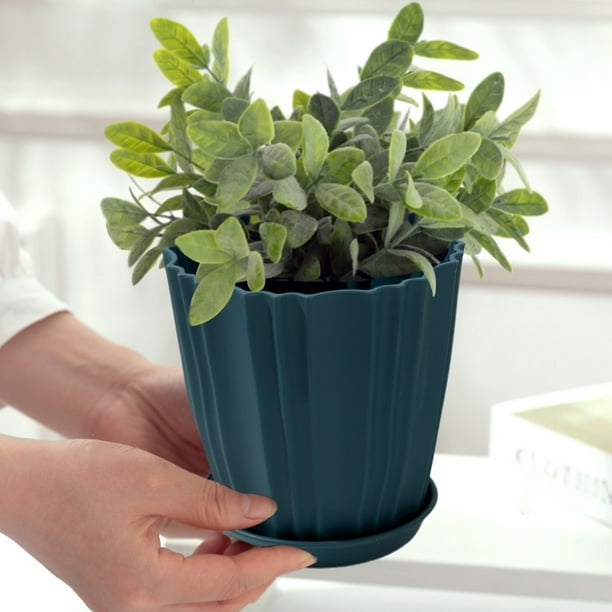 Macetas de plástico verde con base, almacenamiento de plantas de suculentas y bonsái