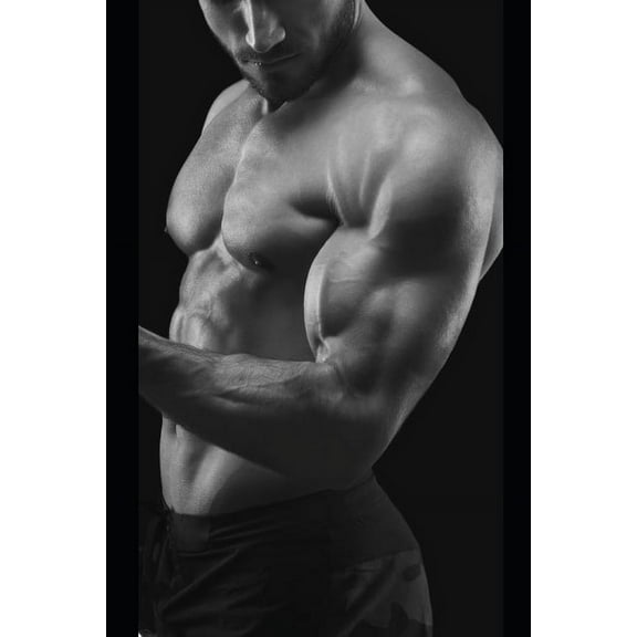 Paige's Prize: War Angels Winnipeg: Book 3, (Paperback)