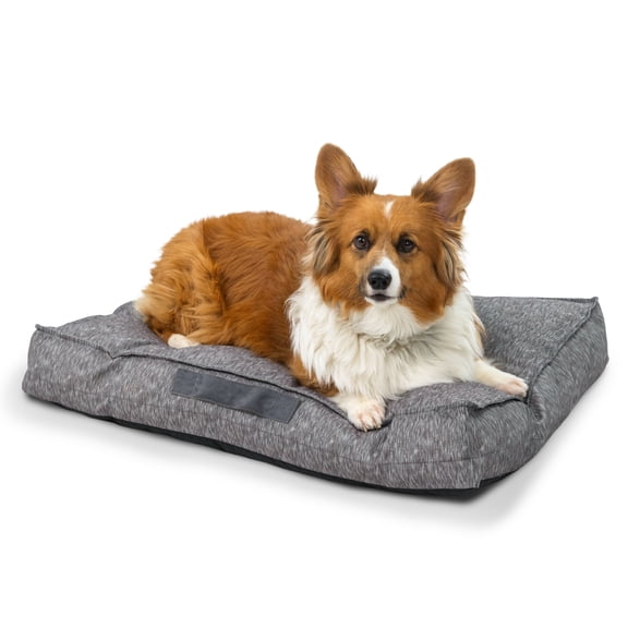 Best Friends by Sheri Dura-Tuff Dog Bed, Durable & Chew-Resistant with Water-Resistant Base, Shredded Foam & Plush Polyfill, Orthopedic Comfort for Dogs & Puppies, Indoor/Outdoor, Gray, 30" x 20"