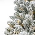 thumbnail image 3 of Árbol Holiday Time Artificial Frisco Pine Flocked pre iluminado con 250 LED de 198 cm, 3 of 4