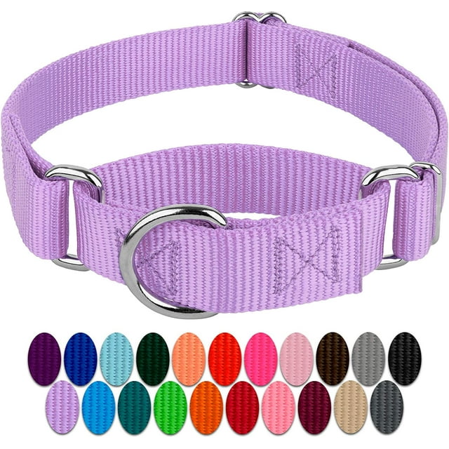LAICAIW Country Brook Petz-Lavender Martingale Heavyduty Nylon Dog Collar-21 Vibrant Color Options (1 Inch Width, Extra Large)