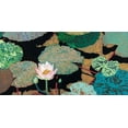 thumbnail image 2 of Friedlander, Allan 14x9 White Modern Wood Framed Museum Art Print Titled - Hot and Humid, 2 of 4