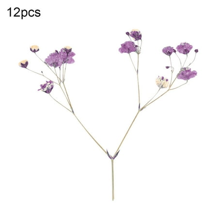 

Farfi 12Pcs Dried Flower Branch Specimen Epoxy Resin Card Bookmark DIY Accessories (Purple Red)