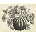 thumbnail image 2 of McCavitt, Naomi 32x26 White Modern Wood Framed Museum Art Print Titled - Sepia Squash I, 2 of 4