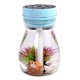 thumbnail image 1 of Mini humidificador, humidificador pequeño, humidificador bonito, humidificadores de coche, humidificador de aire, humidificadores de niebla fría para dormitorio, niños, escritorio de oficina, 1 of 5